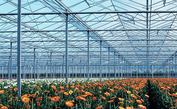 Greenhouse Maintenance