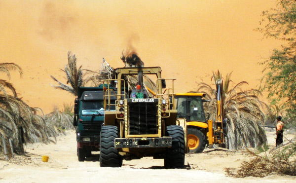 Flora Land Clearing and Tree Removal